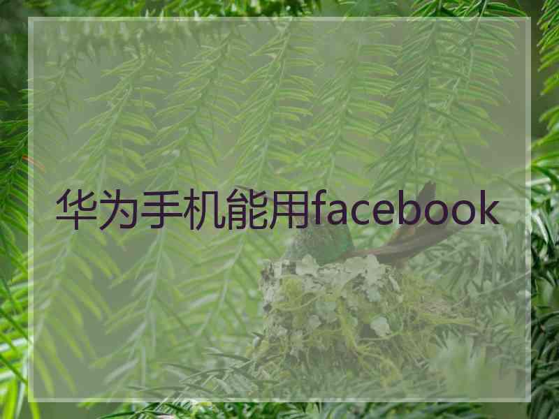 华为手机能用facebook