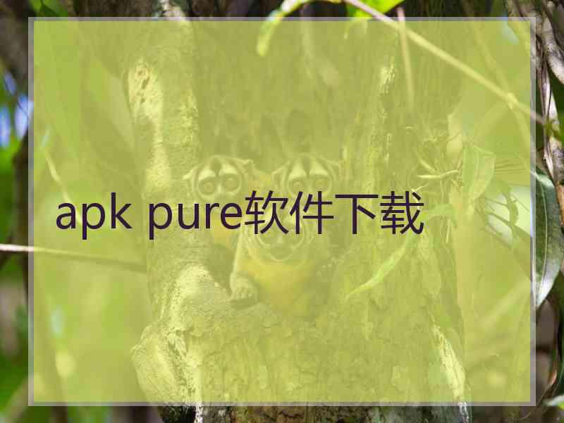 apk pure软件下载