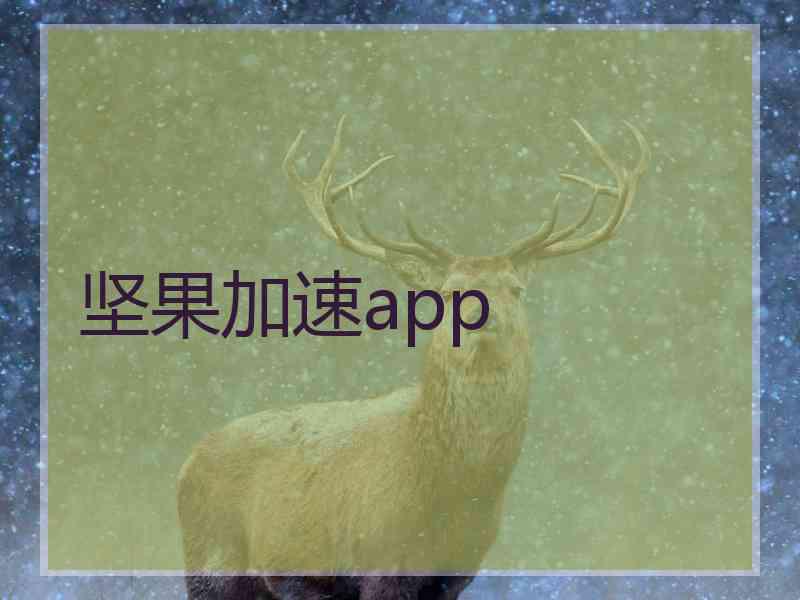 坚果加速app