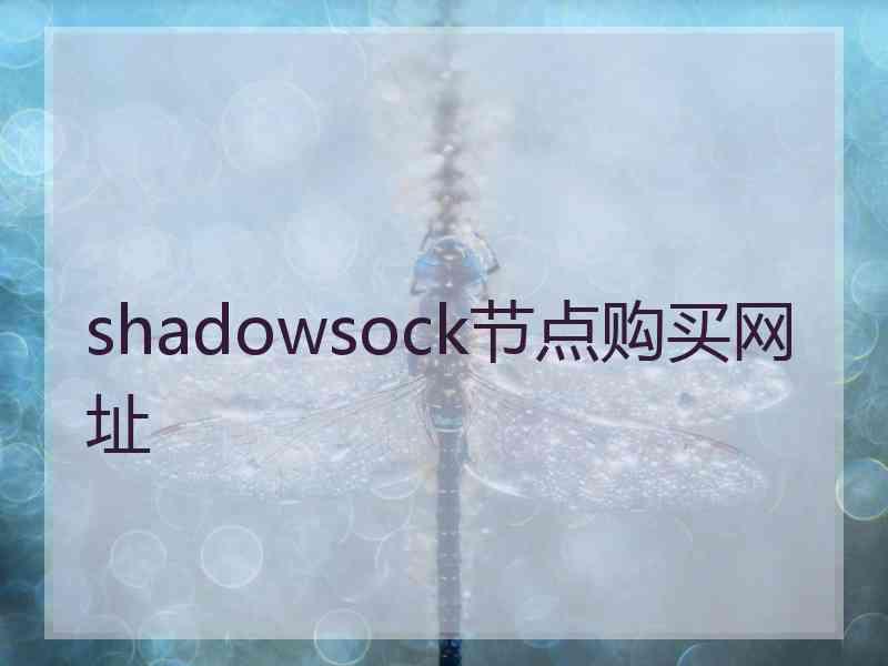 shadowsock节点购买网址