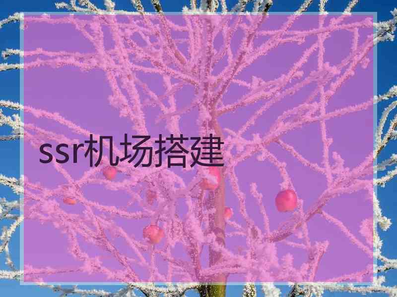 ssr机场搭建