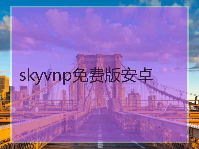 skyvnp免费版安卓