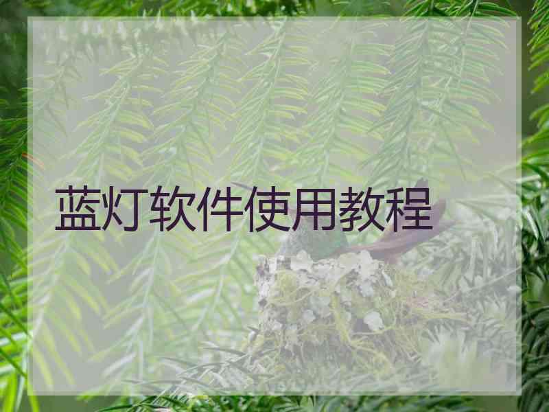 蓝灯软件使用教程