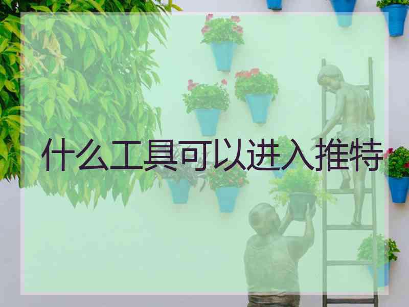 什么工具可以进入推特