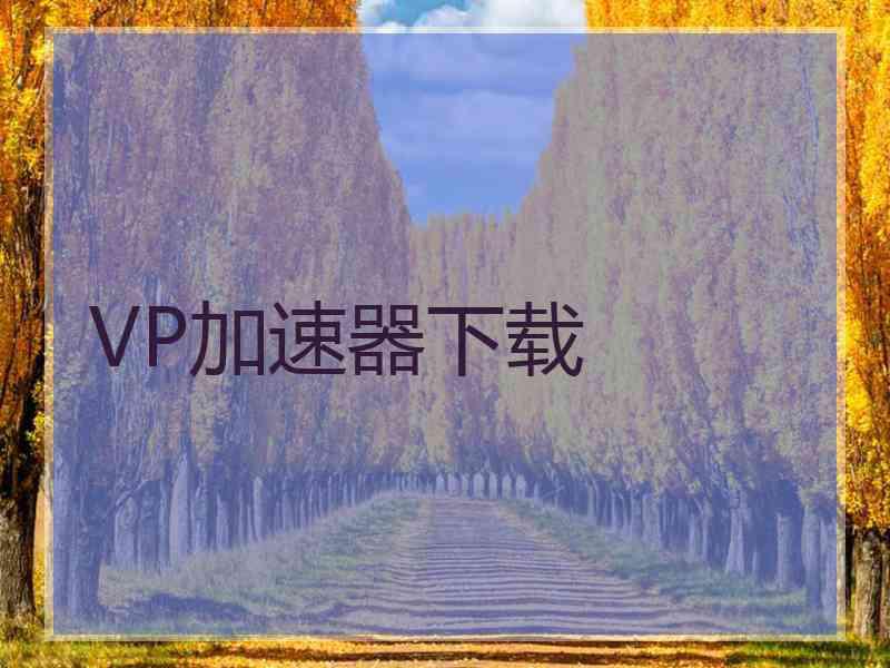 VP加速器下载