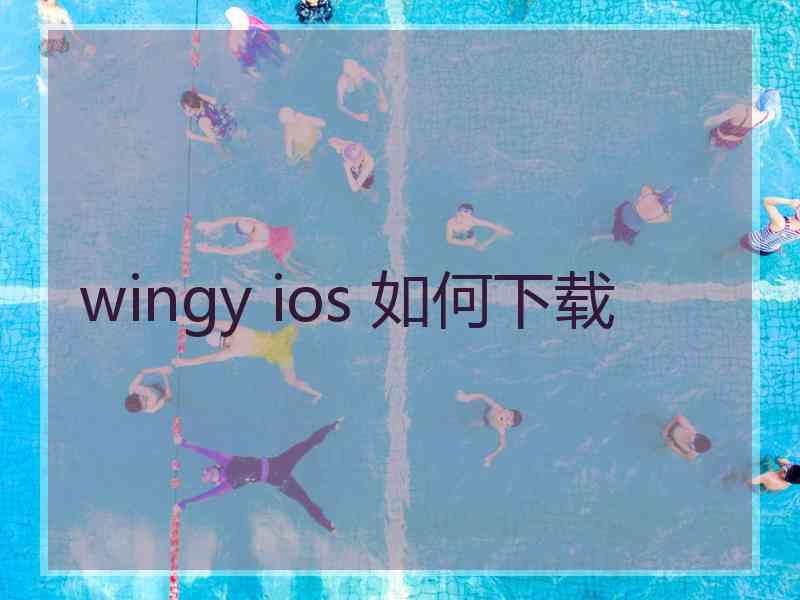 wingy ios 如何下载