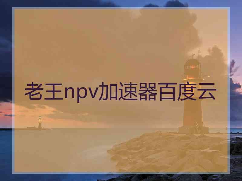 老王npv加速器百度云