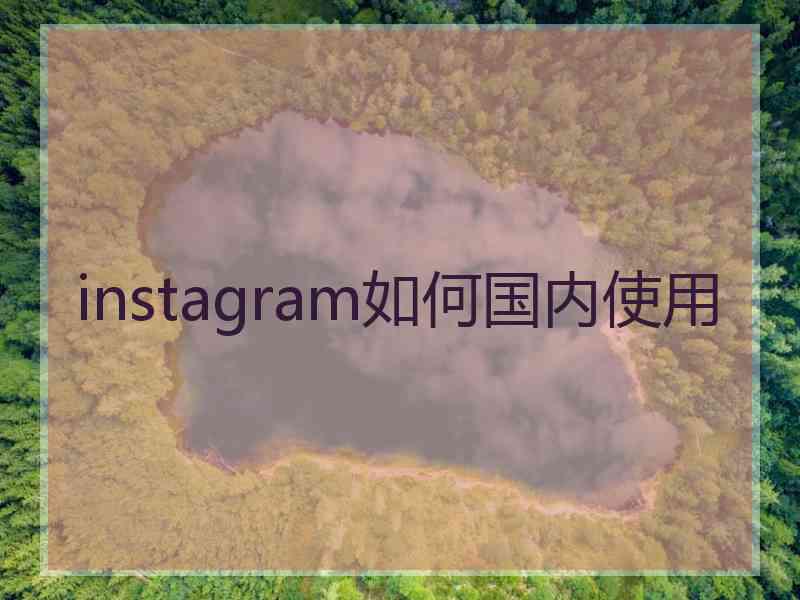 instagram如何国内使用