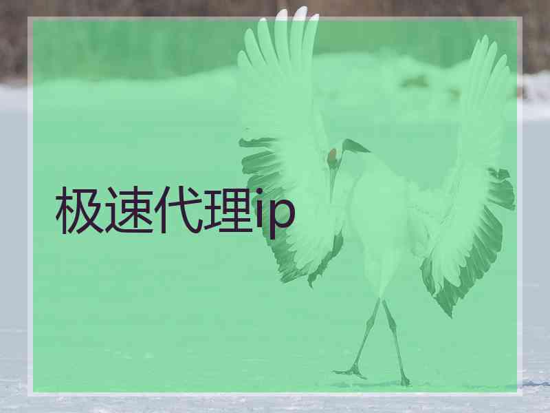 极速代理ip