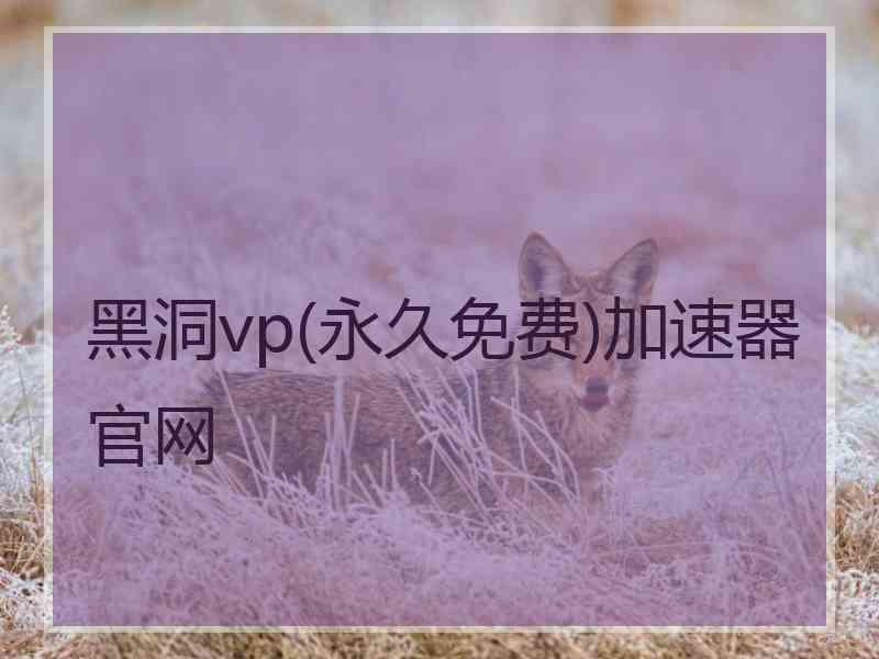 黑洞vp(永久免费)加速器官网