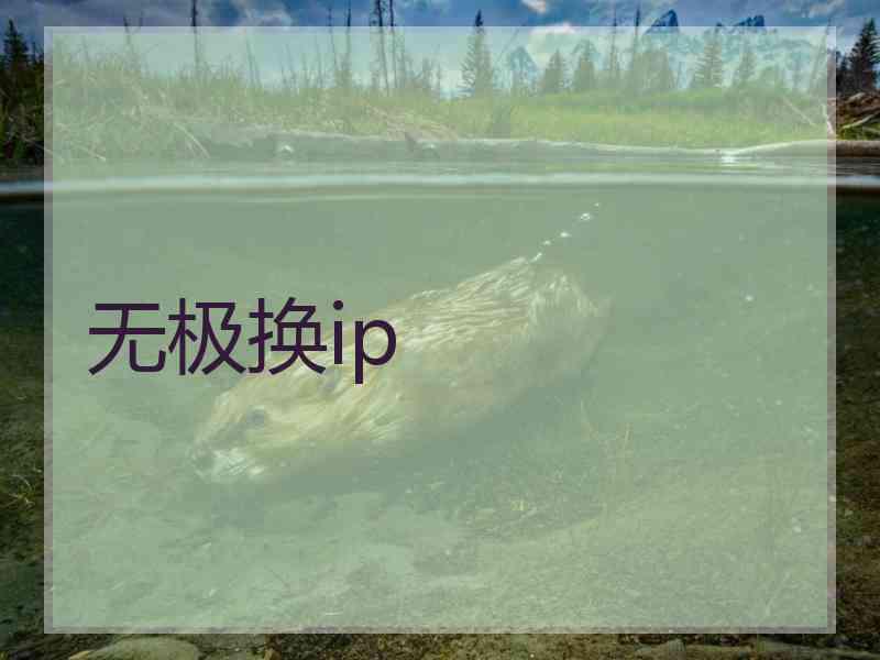 无极换ip