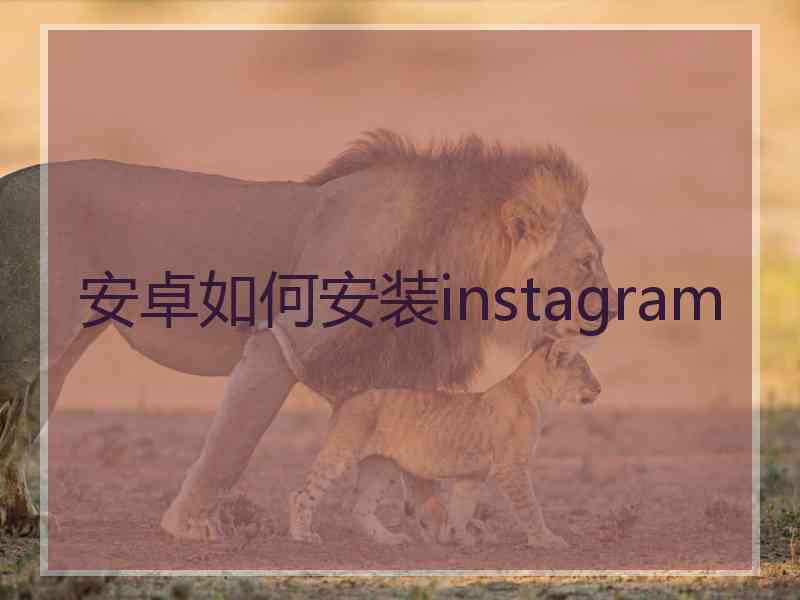 安卓如何安装instagram