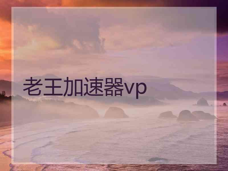 老王加速器vp