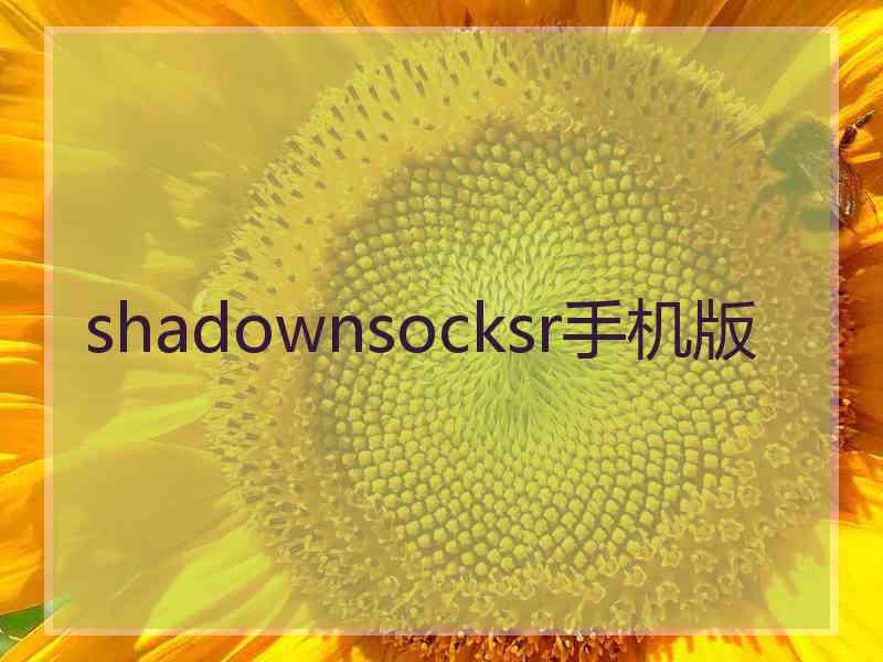 shadownsocksr手机版