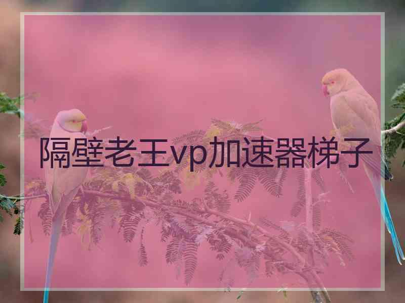 隔壁老王vp加速器梯子