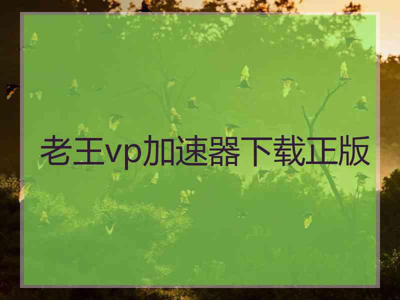 老王vp加速器下载正版