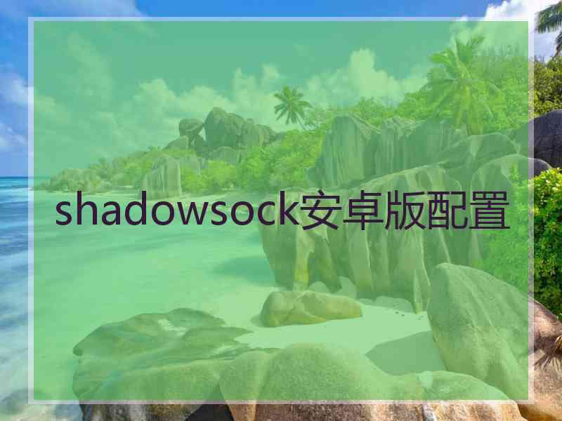 shadowsock安卓版配置