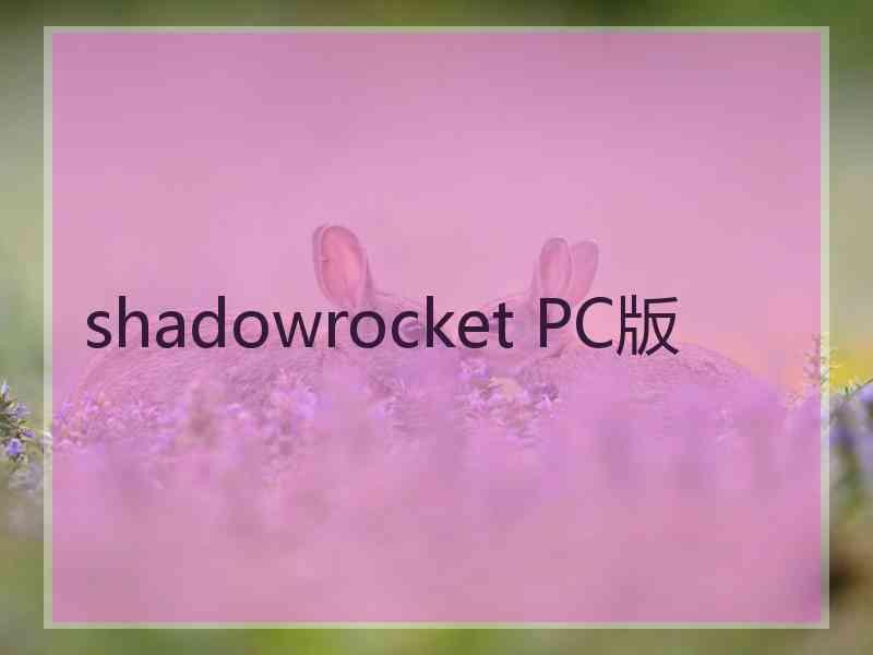 shadowrocket PC版