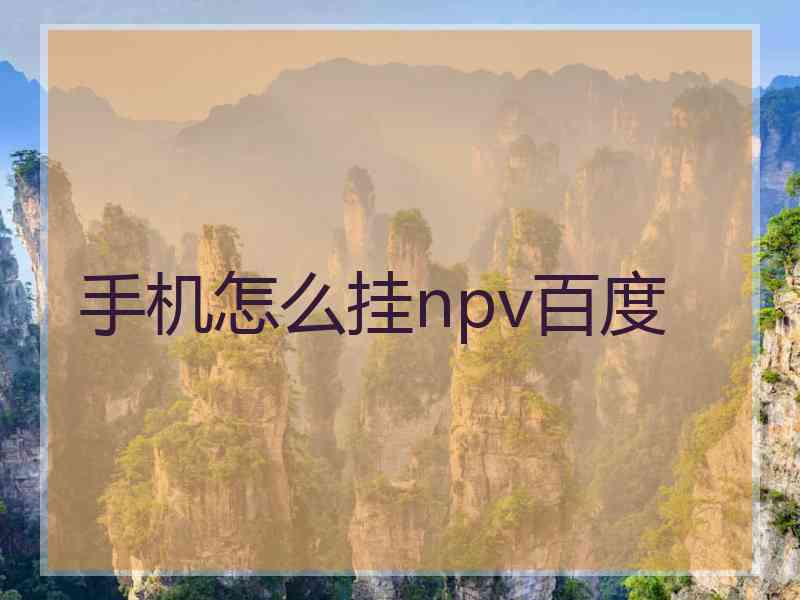 手机怎么挂npv百度