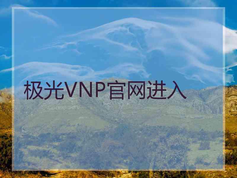 极光VNP官网进入