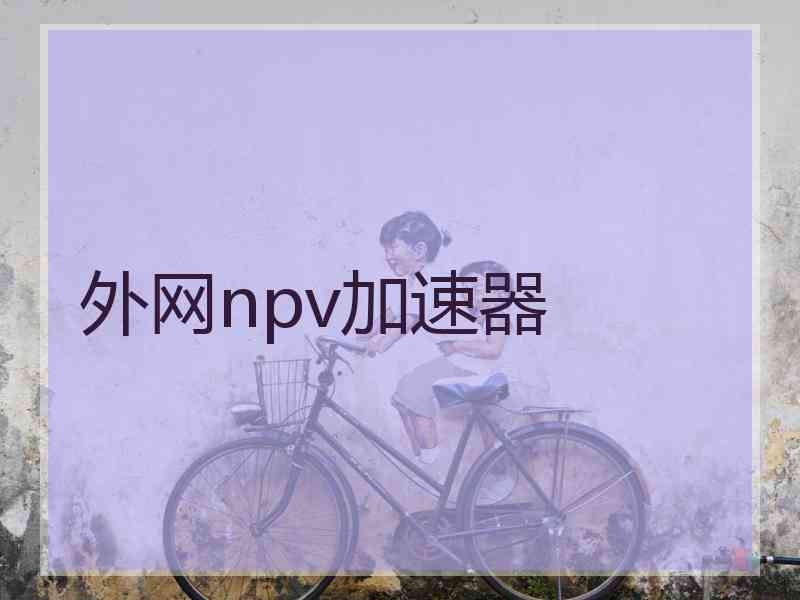 外网npv加速器