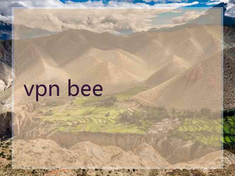 vpn bee