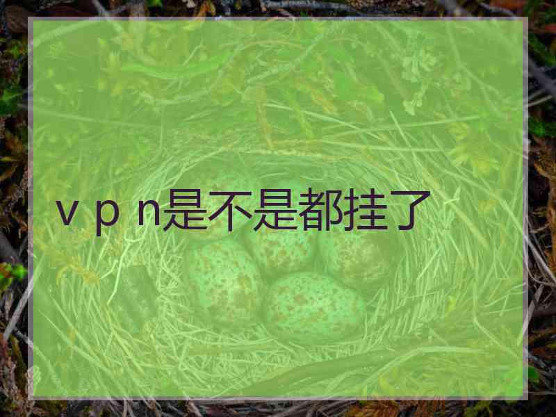 v p n是不是都挂了