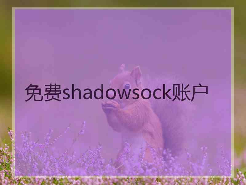 免费shadowsock账户