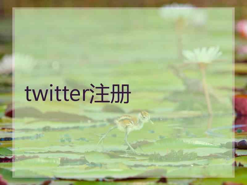 twitter注册