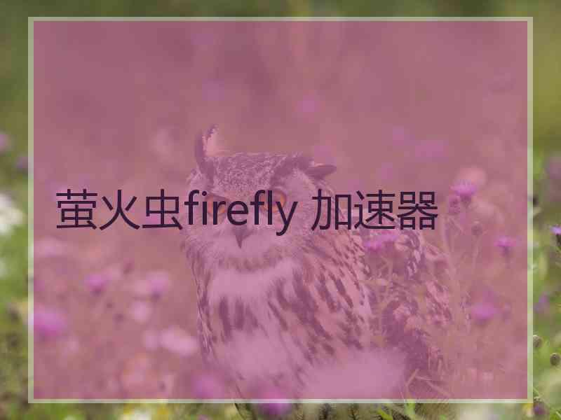 萤火虫firefly 加速器