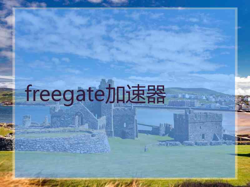 freegate加速器