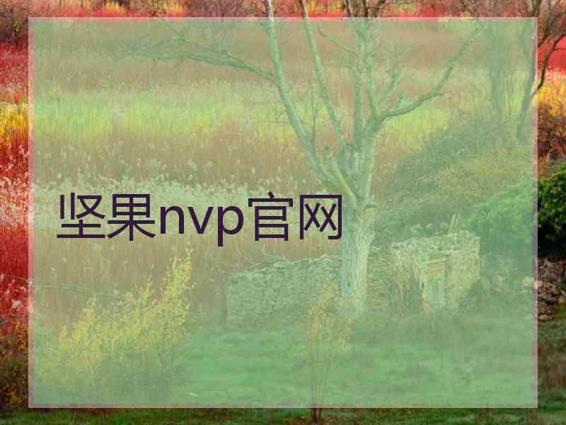 坚果nvp官网