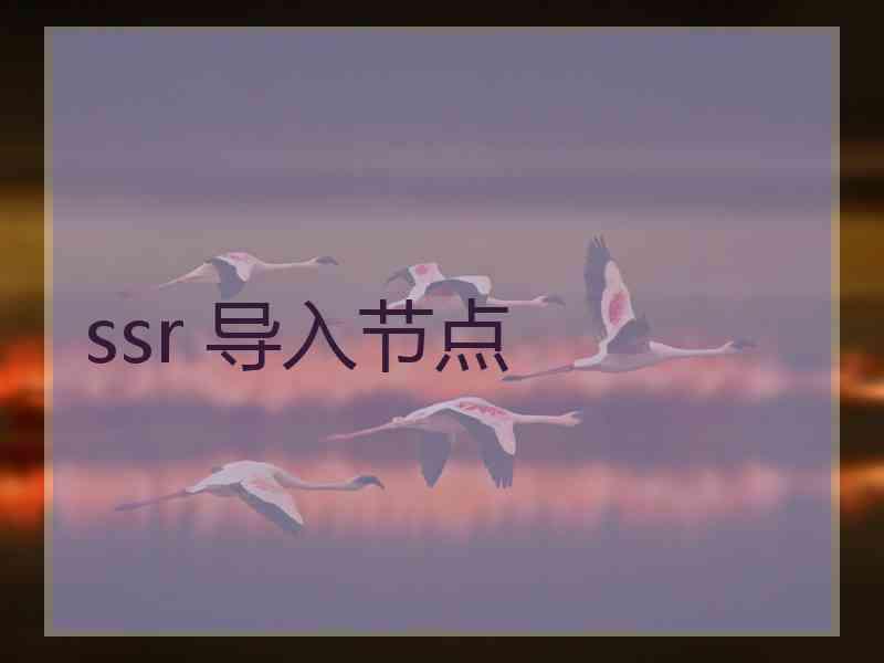 ssr 导入节点