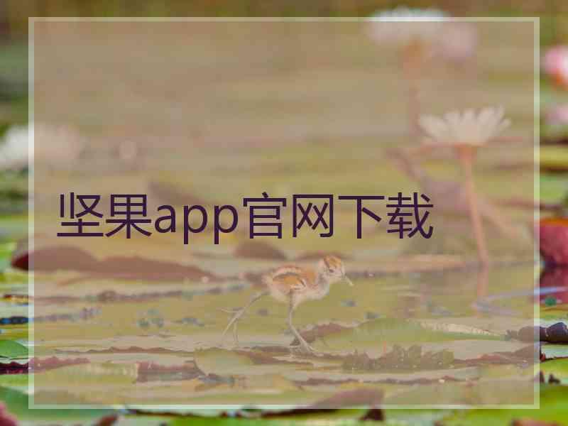 坚果app官网下载