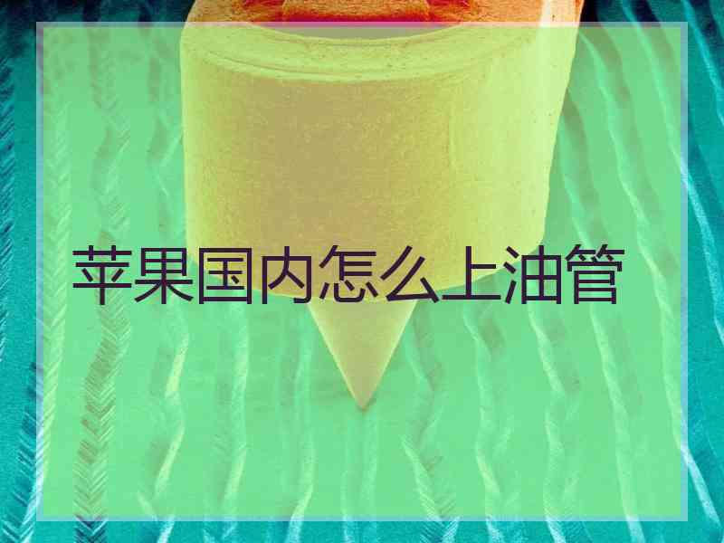 苹果国内怎么上油管