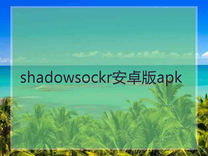 shadowsockr安卓版apk