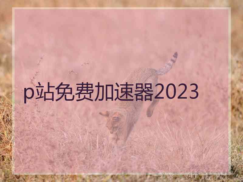 p站免费加速器2023