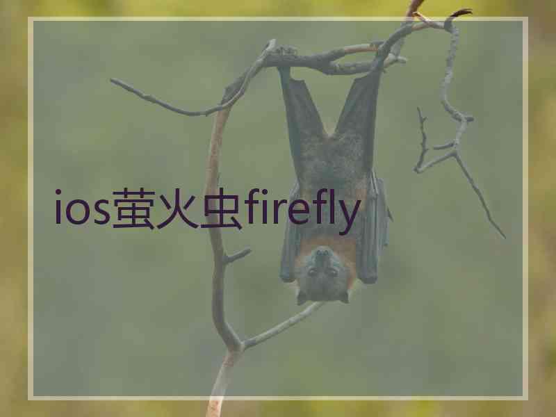 ios萤火虫firefly