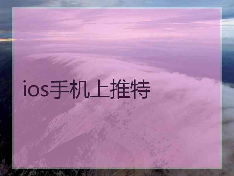 ios手机上推特