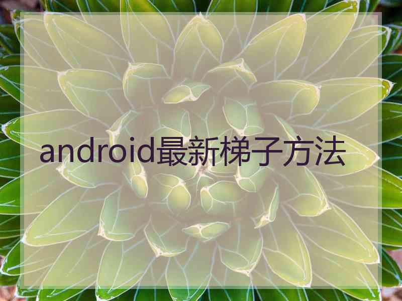 android最新梯子方法