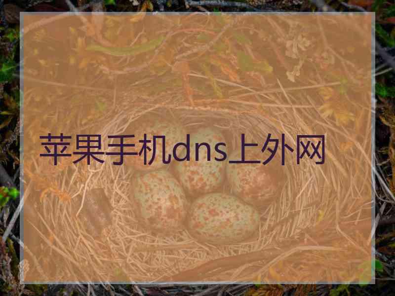 苹果手机dns上外网