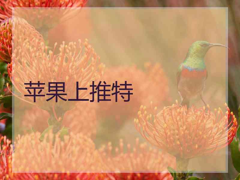 苹果上推特