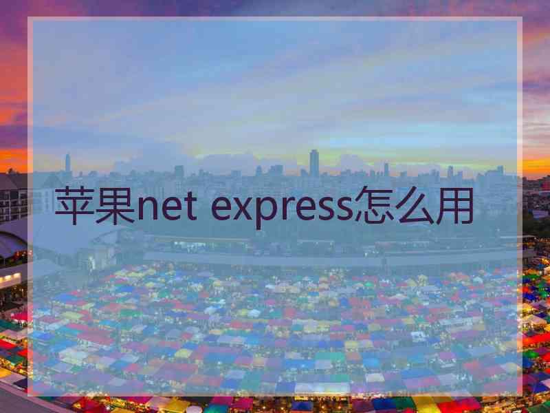 苹果net express怎么用