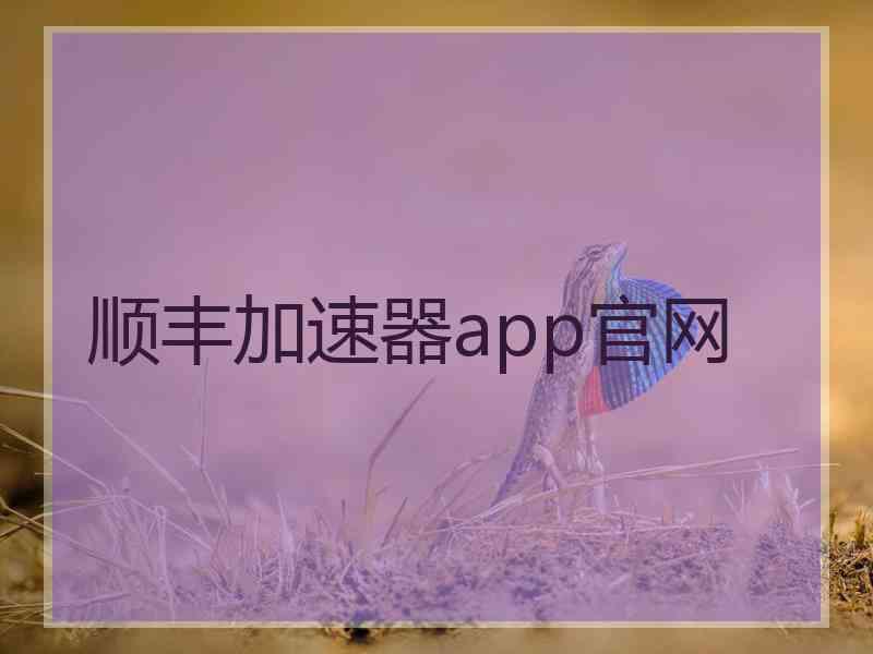 顺丰加速器app官网