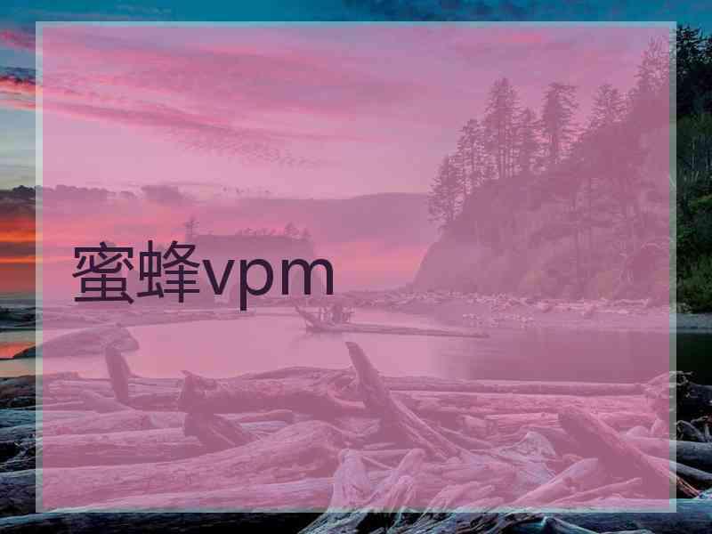 蜜蜂vpm