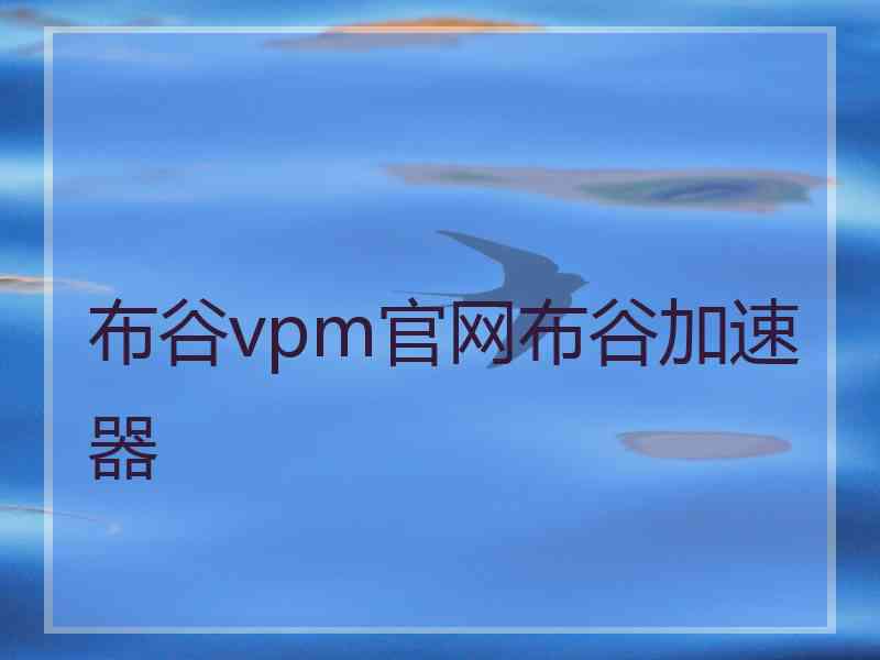 布谷vpm官网布谷加速器