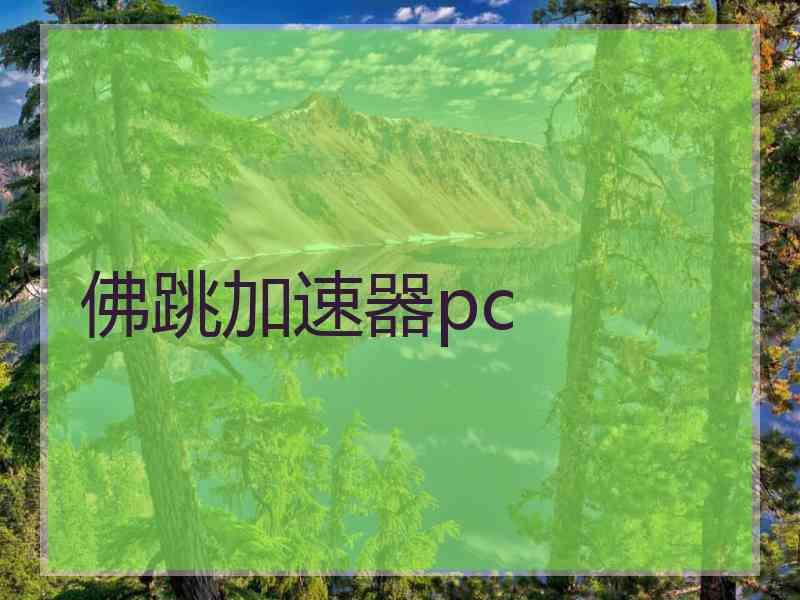 佛跳加速器pc