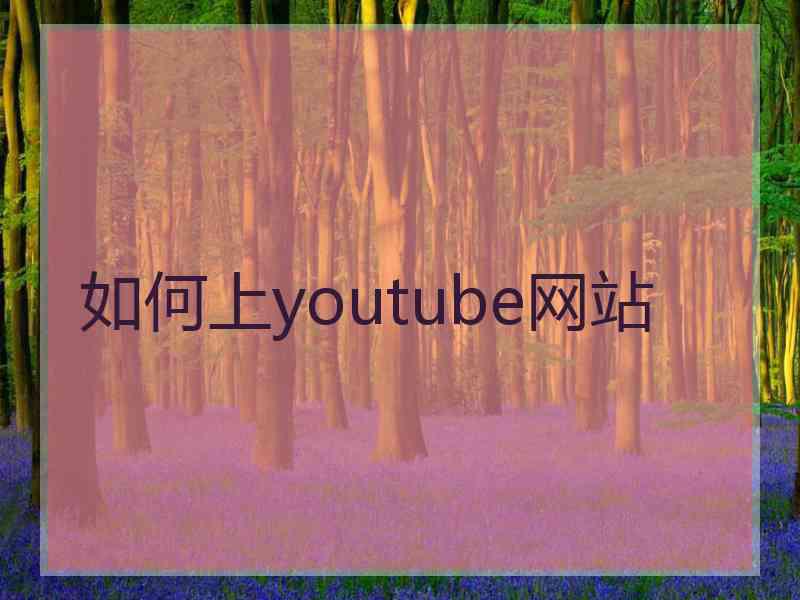 如何上youtube网站