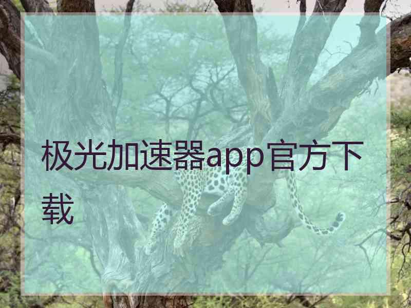 极光加速器app官方下载