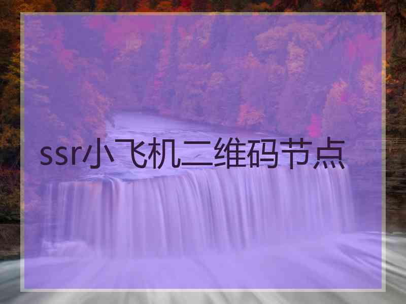 ssr小飞机二维码节点